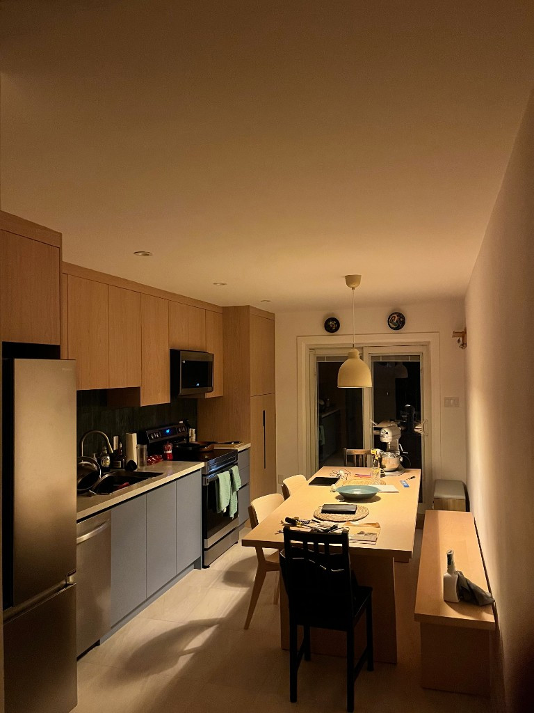 Kitchen renovation, Downtown, Toronto
